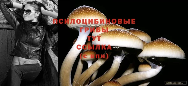 героин Алзамай