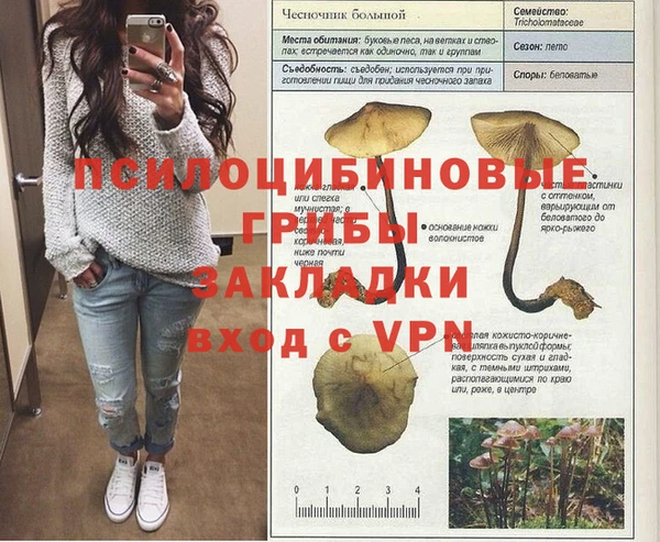 молекула духа Алексин