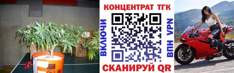 ТГК THC oil Владивосток