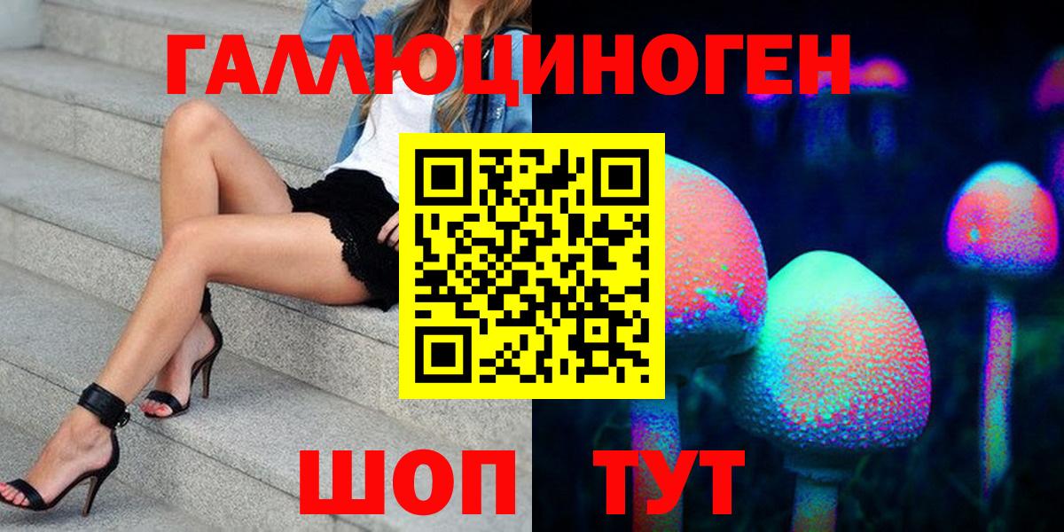 Псилоцибиновые грибы мицелий Владивосток