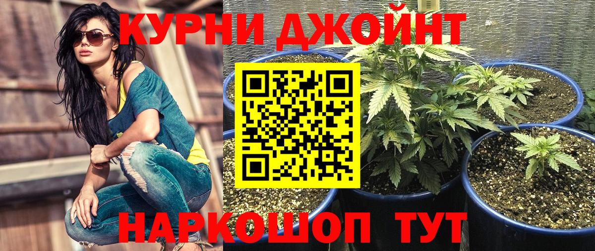 Владивосток  Шишки марихуана Ganja  Вход с VPN  Марихуана сатива  Бошки марихуана план  Шишки марихуана THC 21% 